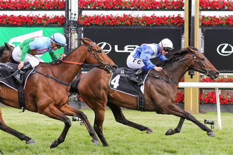 cantala stakes results|Champions Mile .